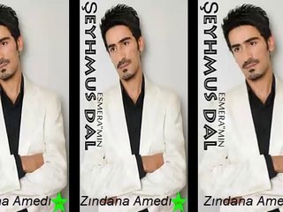 şeyhmus dal  ZINDANA AMED