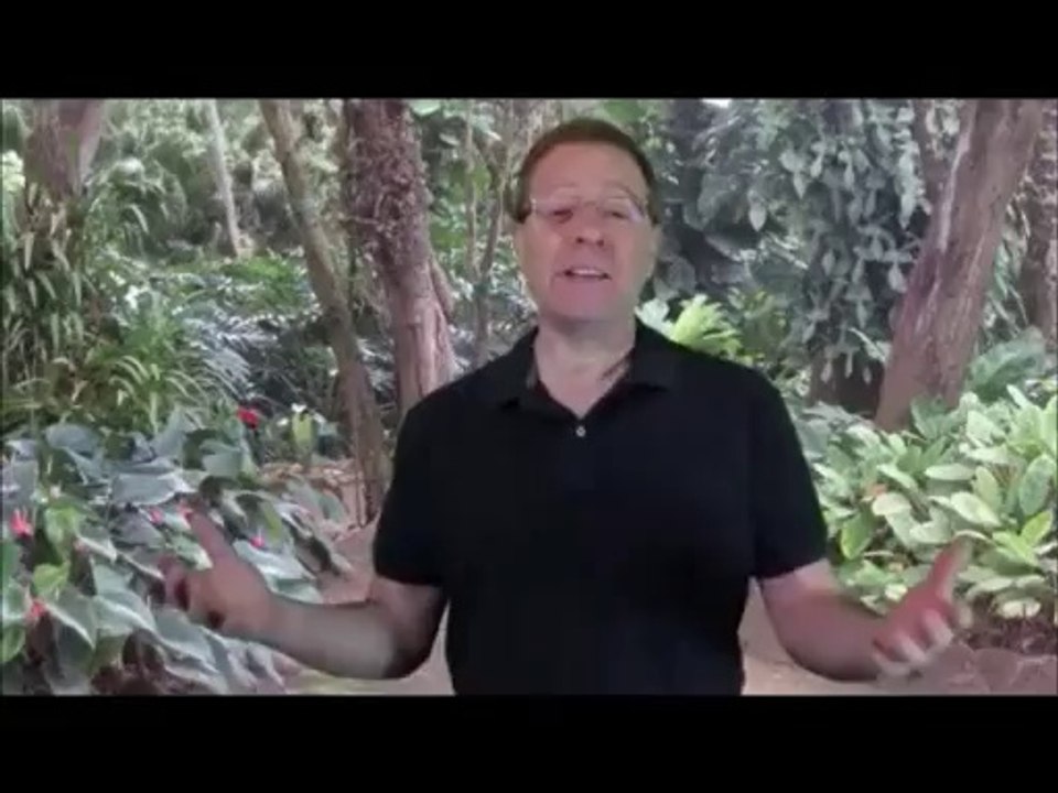 how to do forex trading  fapturbo 2 system review free