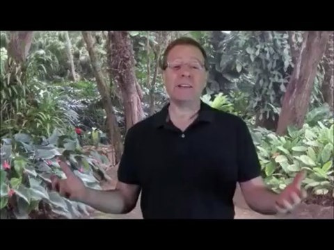 forex trading strategies that work fapturbo 2 system review free