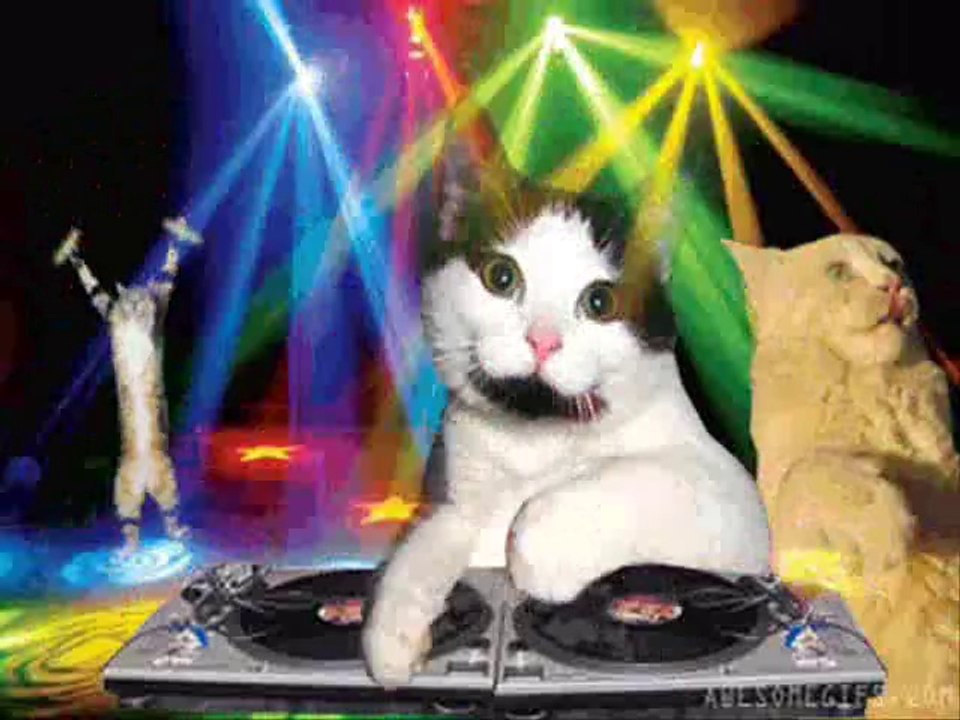 Dj Can Uzman vs.Güler Duman Metris Electro Hitt Music Remix