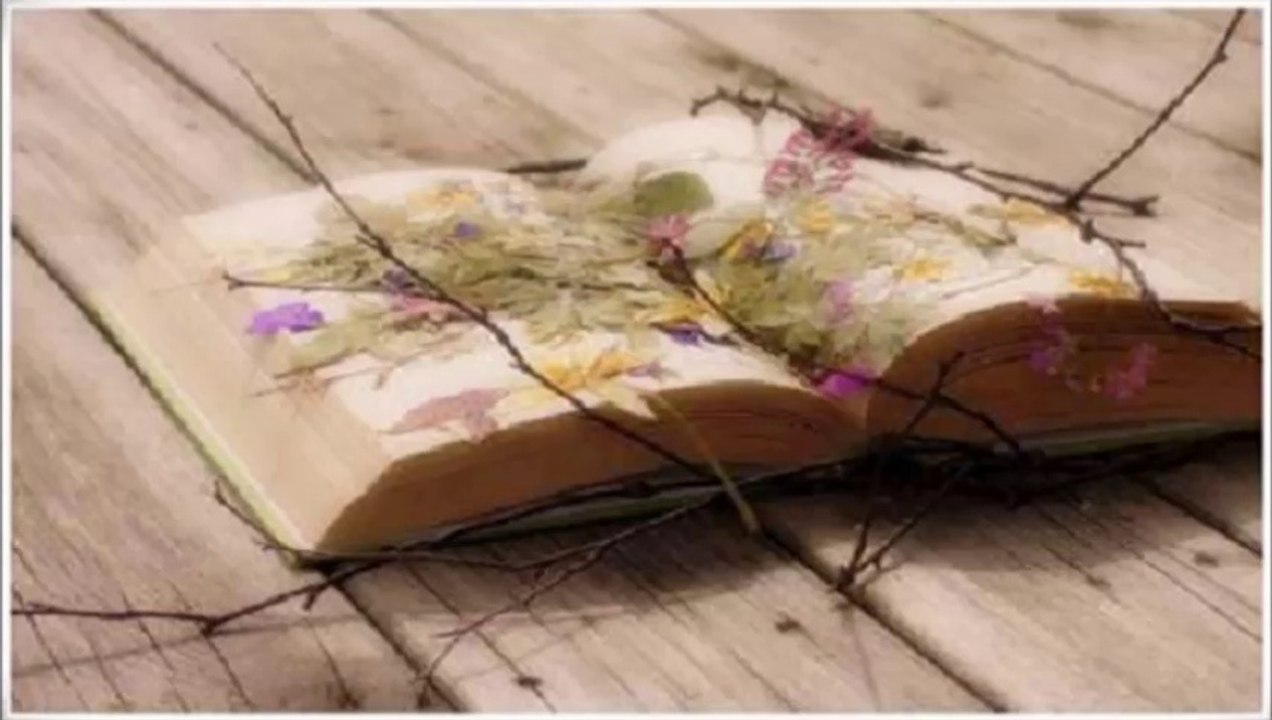 Terry Jacks - If you go away