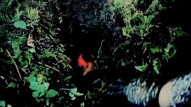 Regina Mills ~ Where Regina's demons hide