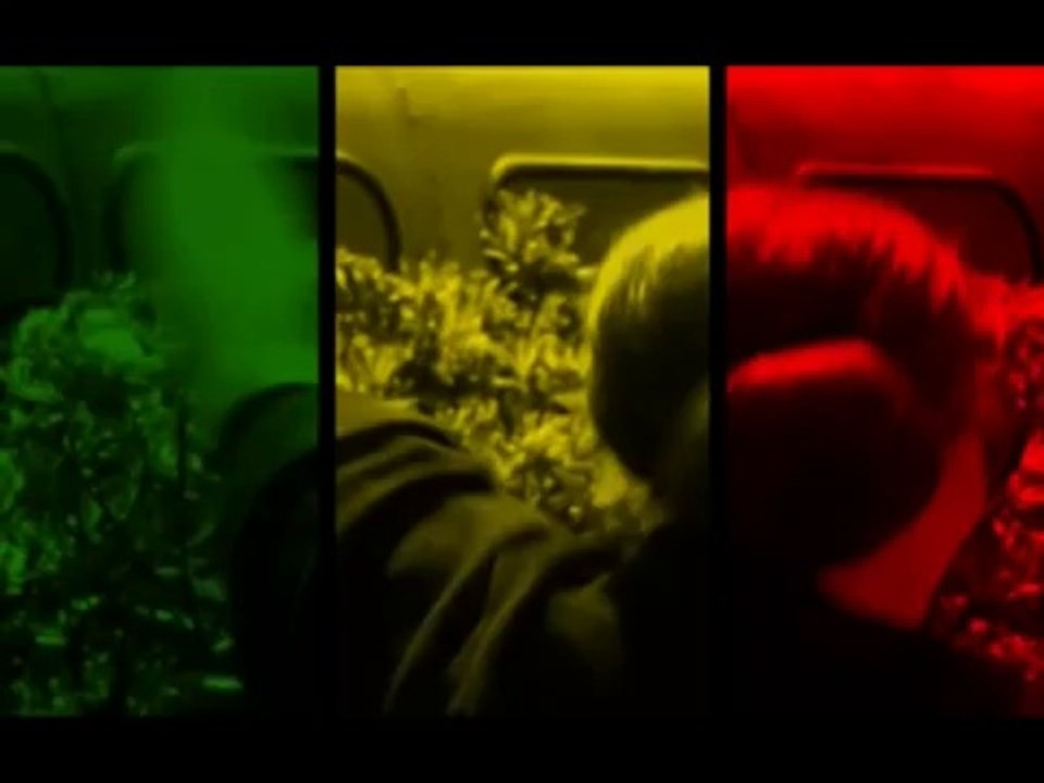 Adele - Rolling in the deep (reggae version by Reggaesta)