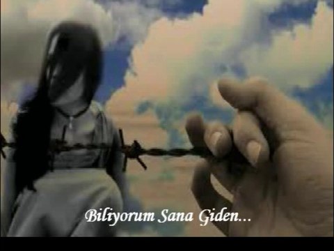 Biliyorum Sana Giden Yollar-Bir Cemal Süreya Şiiri