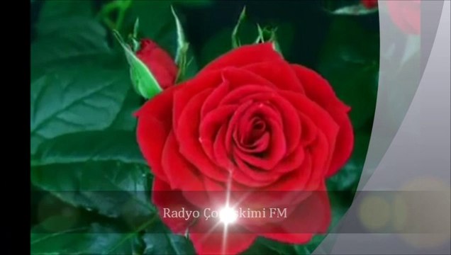 Radyo Çonaşkimi FM Gül Gül