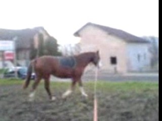 Caraibe  Longe travail bas