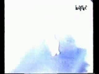 Dog Eat Dog - No Fronts