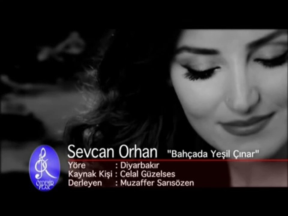 Sevcan Orhan - Bahçada Yeşil Çınar
