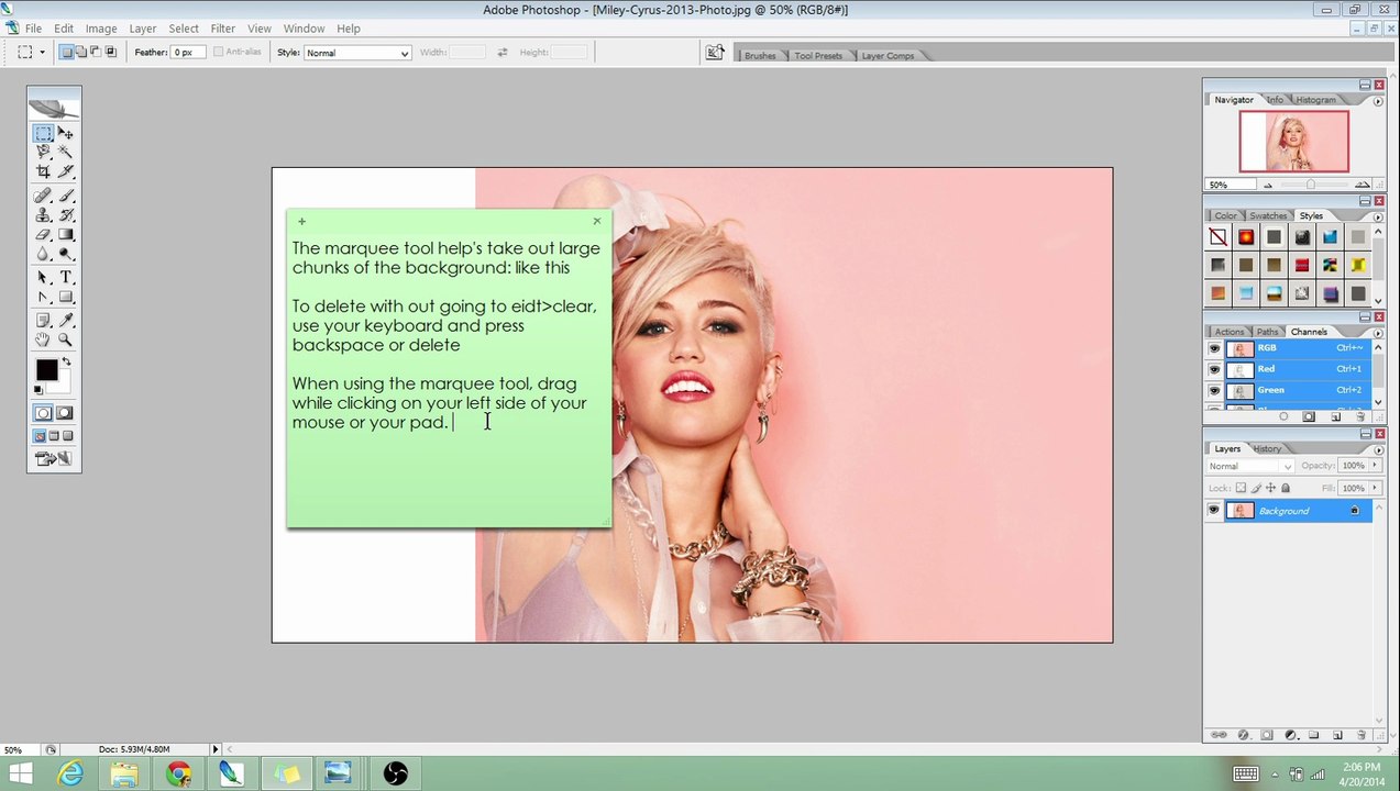 Lesson 1: Using the Layer Mask and Cutting Tools