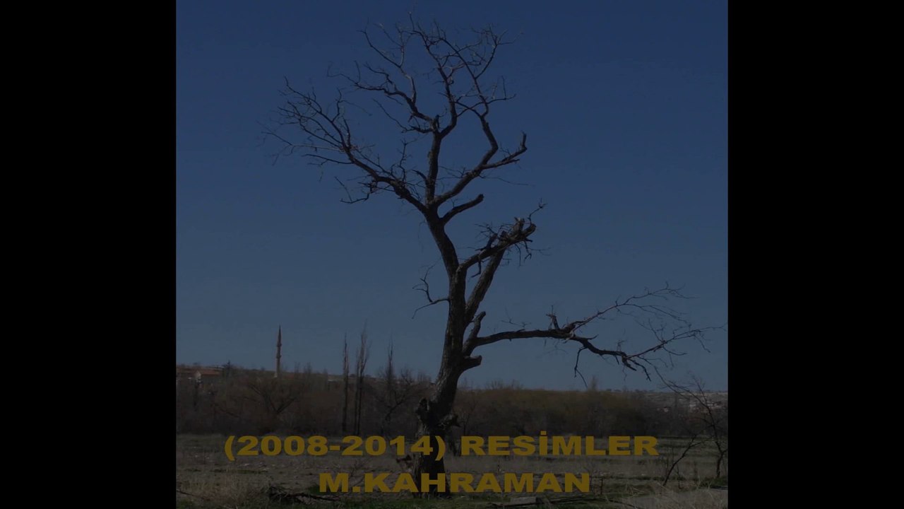 Slideshow 2014-04-19-wmv formatlı