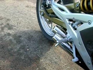 Pot Lazer dechicané 2