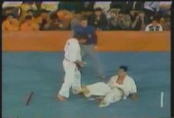 Kyokushin karate KO knock out