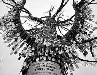 ŞEHİT AĞACI ►Asker TV