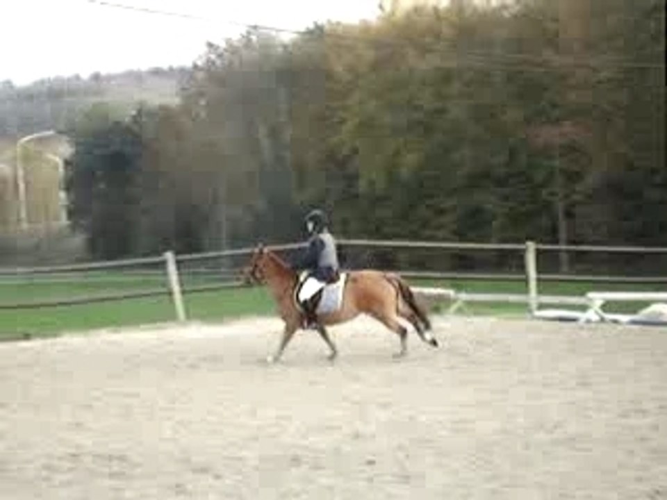MOV01748