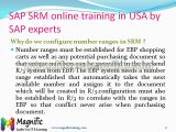 sap srm online training in usa by SAP experts