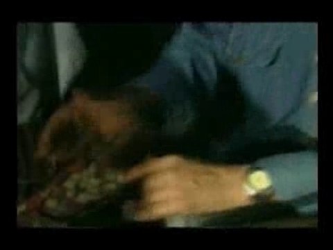 Dauphin Houari_-nebghik omri -djabarje