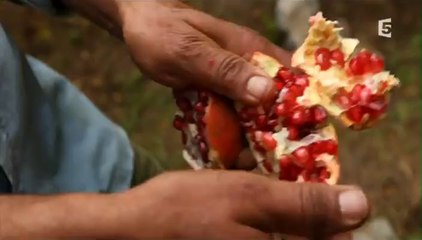 Oman, de la mer à l'encens (extrait)