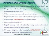 hana development training-sao hana certification in japan
