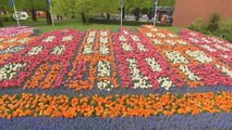 Pascua en Keukenhof | Euromaxx