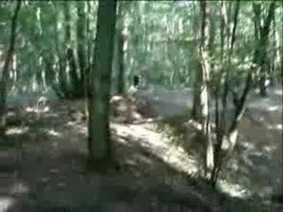 Airsoft