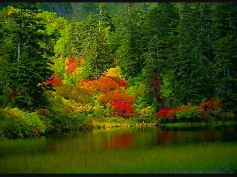 Bülent Ersoy-Yaranamadım-Yarına Çıkmaya Senedim mi Var (İkisi Bir Arada)