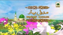 Madani Bahar - Rukn e Shura Haji Abdul Habib Attari