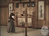 Kenjutsu Tameshigiri Iaido Iaijutsu
