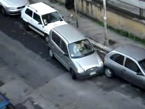 La Femme De Régis Se Gare