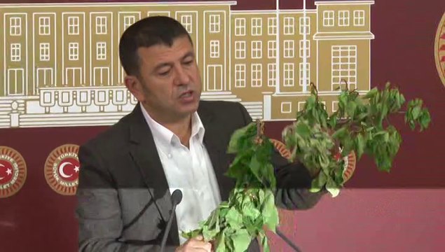 Kayısı üreticisinin borçları silinmeli