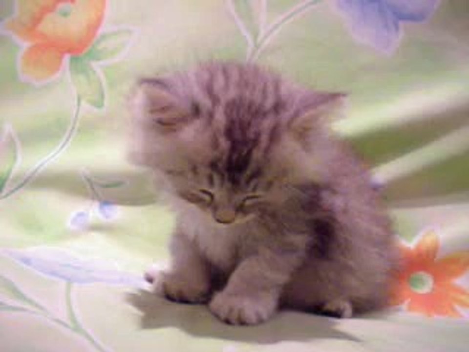 SLEEPY