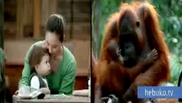 Şehir Hayatı ve Doğanın İnanılmaz Benzerlikleri