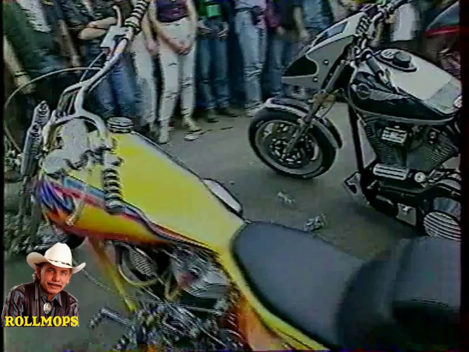 SUPER RALLY BIKERS NIGLO H.D.C AU CIRCUIT CAROLE A PARIS JUIN 1992 " ROLLMOPS AVRIL 2014 "