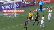 Campeonato Brasileiro: Mücke Ceni hält, Luis Fabiano sticht