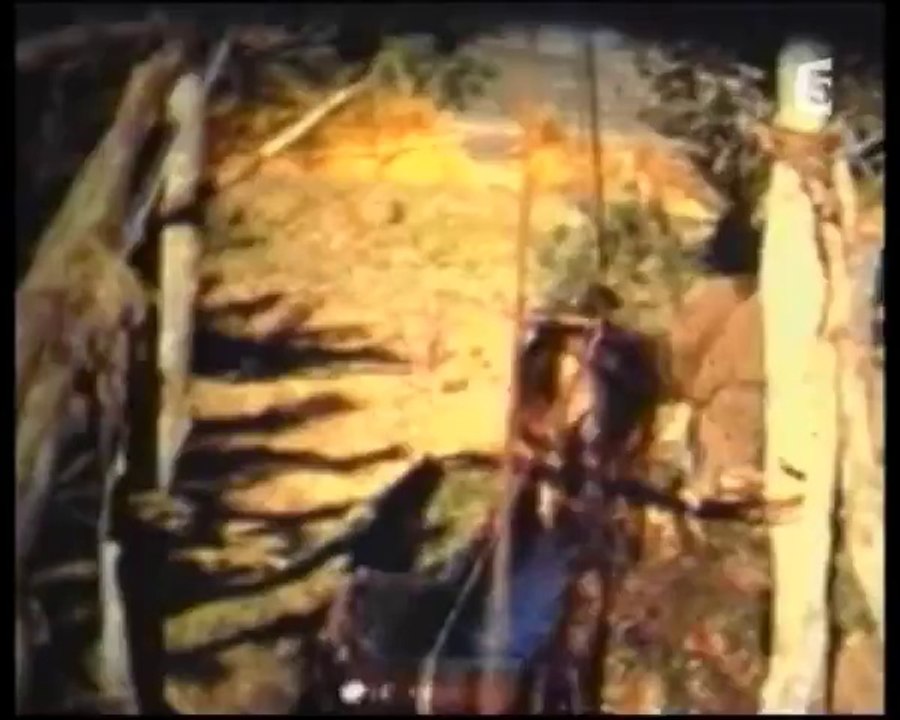Histoire de l'armée française 3-4 (1940-1962) (2006)