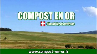 Questions Réponses - Compost sent oeuf pourri - Planter sur le compost