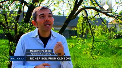 Terreni più fertili con ossa animali