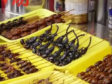 Bu videoyu mutlaka izleyin