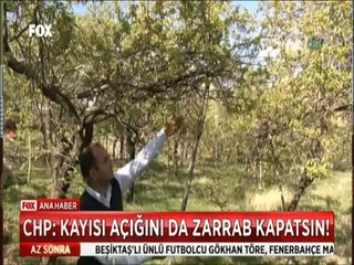 CHP'li Veli Ağbaba Kayısı açığını da Reza Zarrab kapatsın