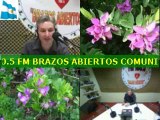 Radio Brazos Abiertos Hospital Muñiz Programa CULTURA Y SALUD 16 de abril de 2014 (2)