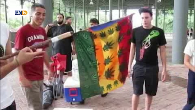 Puertorriqueños se unen para pedir legalización de la marihuana