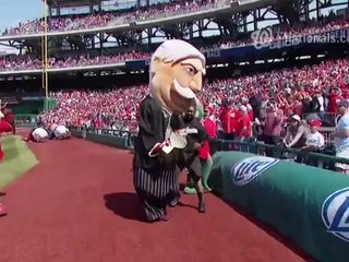Baseball - La course des mascottes de présidents américains ruinée... par un lapin !