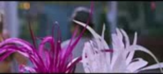 TUM JO MILE ISHQ ME NEW INDIAN SONG