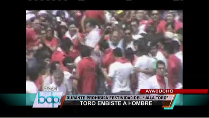 Un herido grave dejó celebraciones del popular "jala toro" en Ayacucho