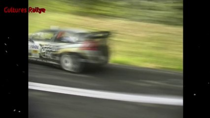 Rallye Lyon-Charbonnières 2014