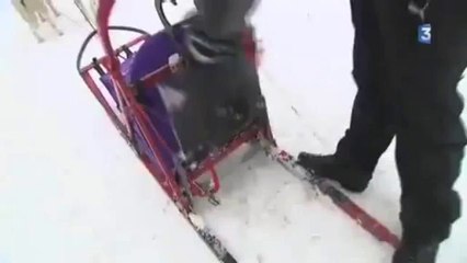 nos huskys passent a FR3