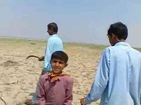 students of Ali waris english academy are going to river indus (village laghari bijrani) by Nisar sindhi