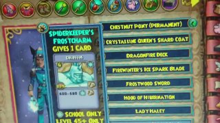 PlayerUp.com - Buy Sell Accounts - My wizard101 Account(2)