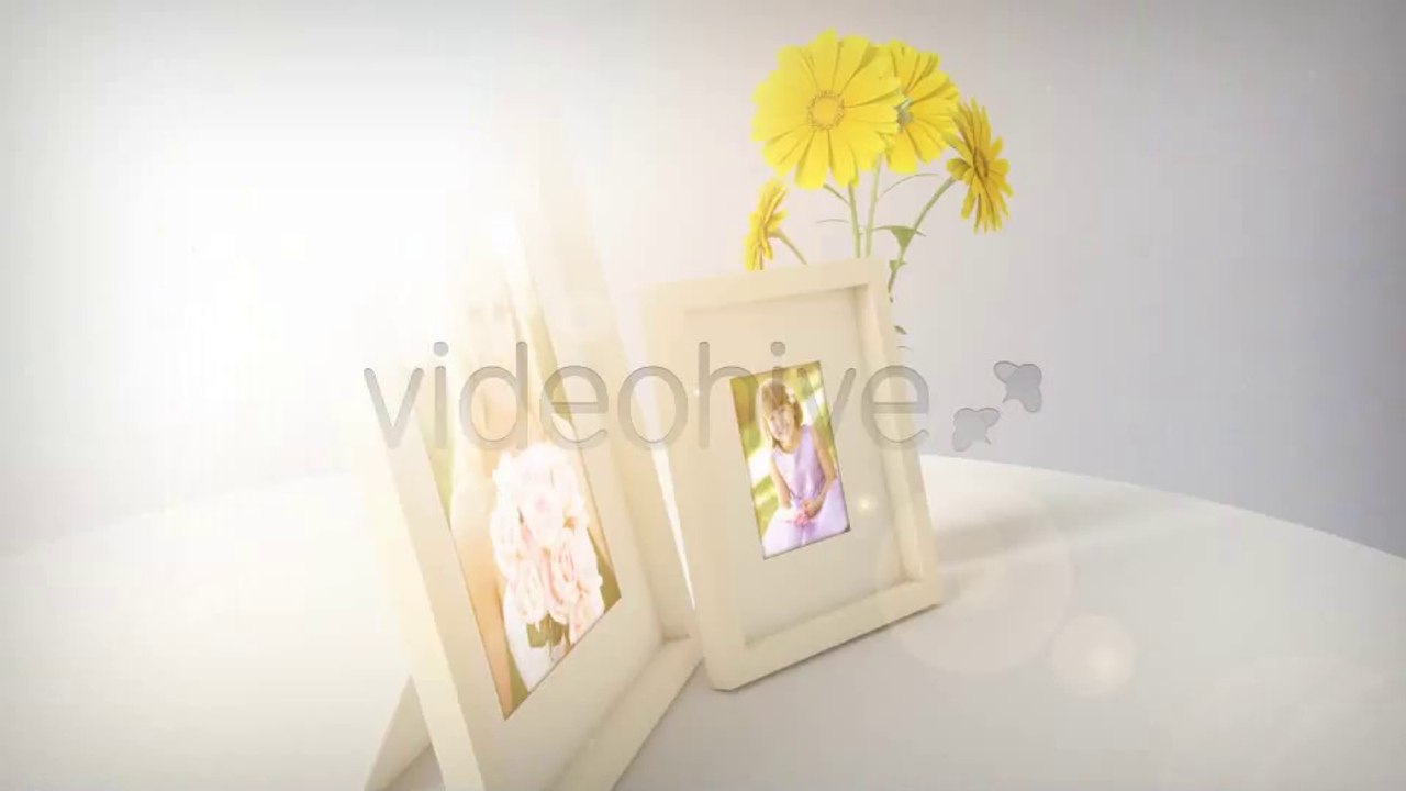 Wedding Photo Gallery - After Effects Template