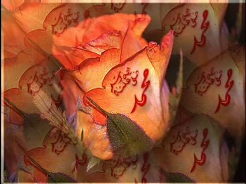 Hasan Dursun Özledim Rasulu