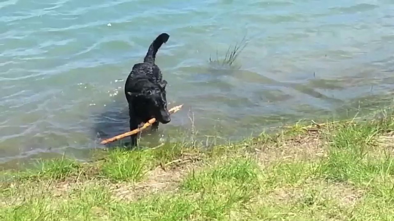 C'Taiga  à la plage et au lac 2
